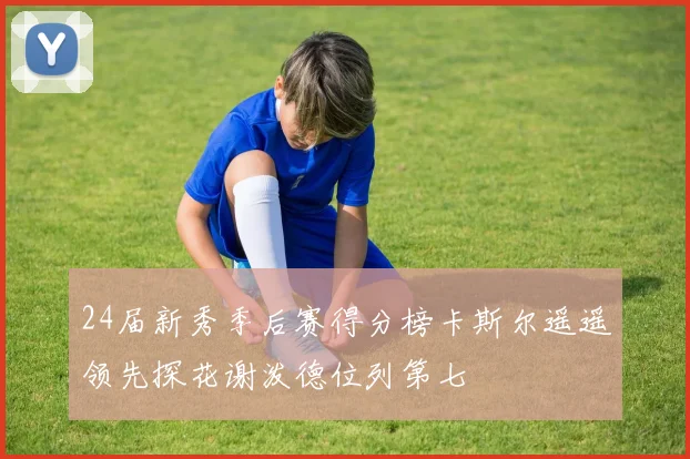 24届新秀季后赛得分榜卡斯尔遥遥领先探花谢泼德位列第七