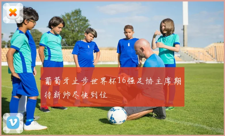 葡萄牙止步世界杯16强足协主席期待新帅尽快到位