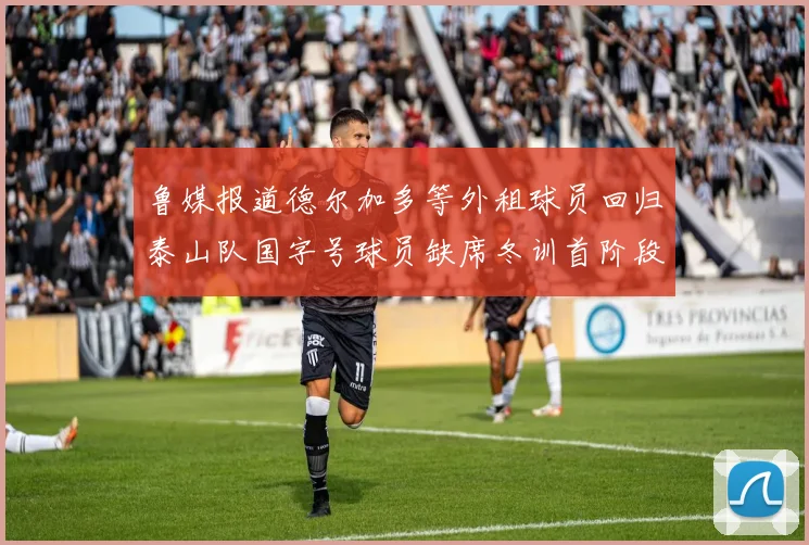 鲁媒报道德尔加多等外租球员回归泰山队国字号球员缺席冬训首阶段